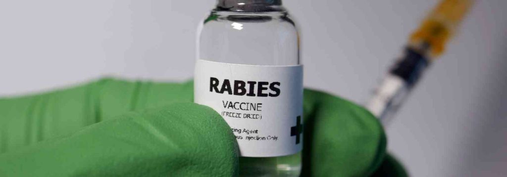 Get your rabies vaccine in Manchester