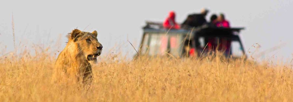 Ensure that you are fit for travel at Travel Template 1